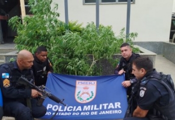 PM apreende 38 pés de maconha e prende suspeito 