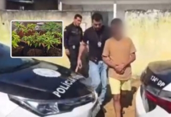 Foragido da justiça de Minas é preso em Campos cultivando maconha em estufa