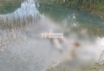 Corpo de mulher é achado dentro de açude, em Campos 