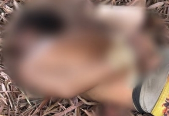 Homem é encontrado morto com sinais de violência 