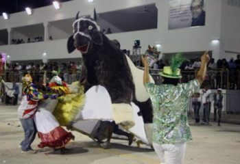 Cultura abre edital para credenciamento de Bois Pintadinhos em Campos