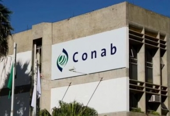 Preços da maçã, da laranja e do mamão caem no atacado em março