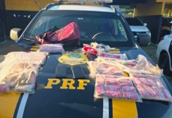 Polícia intercepta van com 11 kg de droga e gera prejuízo milionário ao tráfico