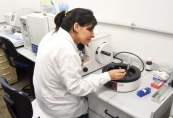 Fiocruz obtém patente de método que utiliza composto promissor no tratamento da malária