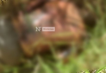 Homem com marcas de tiros e corpo enterrado em canavial são encontrados em Campos