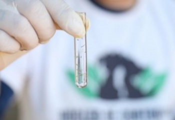 Município mantém cenário controlado para infestação da dengue