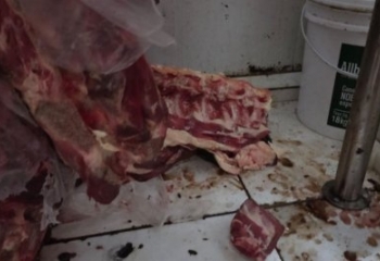 Supermercado em Campos é interditado após apreensão de 885 kg de alimentos inadequados