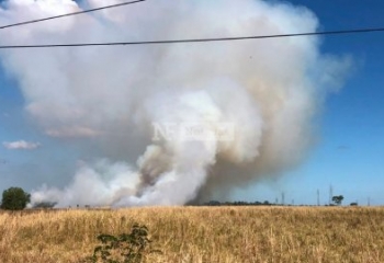 Fumaça de incêndio em área de vegetação atinge bairros de Campos
