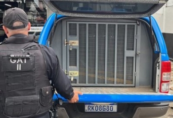 Apontado como líder de facção, &ldquo;Playboy&rdquo; é capturado após denúncias em Campos