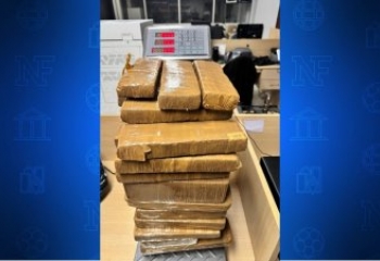 PRF e Polícia Federal apreendem 30 kg de maconha na BR-101