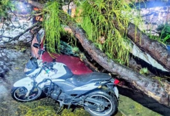 Árvore cai sobre carro em frente a hospital em Campos