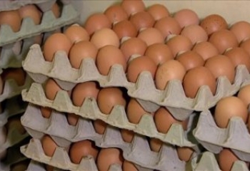Consumo de ovos quase dobra no Brasil em 15 anos e deve atingir novo recorde em 2026