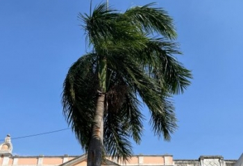 Defesa Civil alerta para rajadas de vento em Campos e outras regiões  nesta segunda