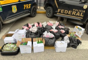 Ação conjunta da PF e PRF apreende 59 kg de drogas a caminho da Região dos Lagos  