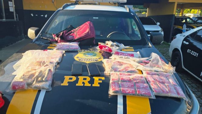 Polícia intercepta van com 11 kg de droga e gera prejuízo milionário ao tráfico