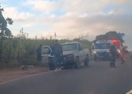 Homem morre após ser atropelado na RJ 224, em SFI