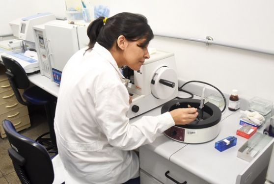 Fiocruz obtém patente de método que utiliza composto promissor no tratamento da malária