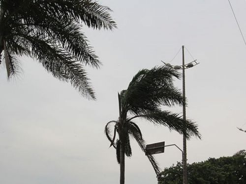 Previsão de ventos moderados a fortes para a região 