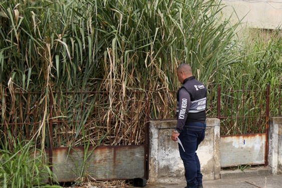 Postura notifica proprietários de terrenos e casas abandonadas em Campos 