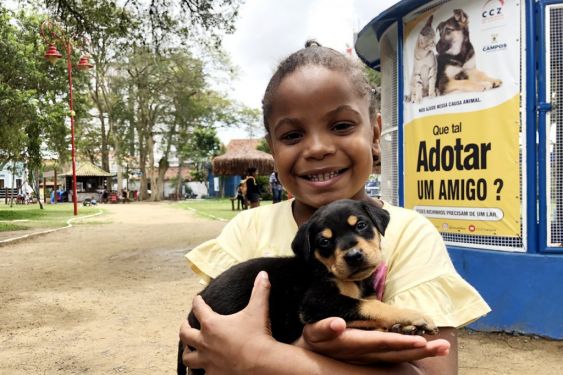 À espera de um lar: cães e gatos do CCZ buscam uma nova família