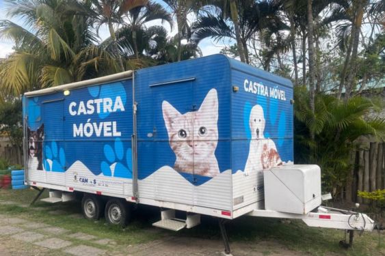 Campos inicia nova etapa de inscrição para castração de cães e gatos