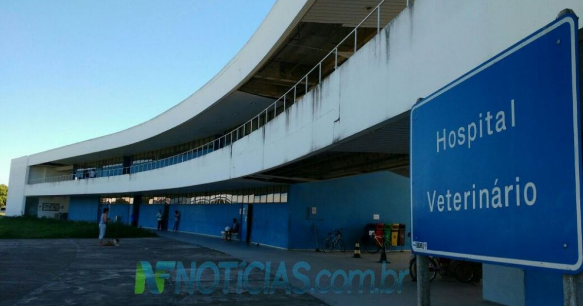 Residentes do Hospital Veterinário da Uenf param atividades - NF Notícias